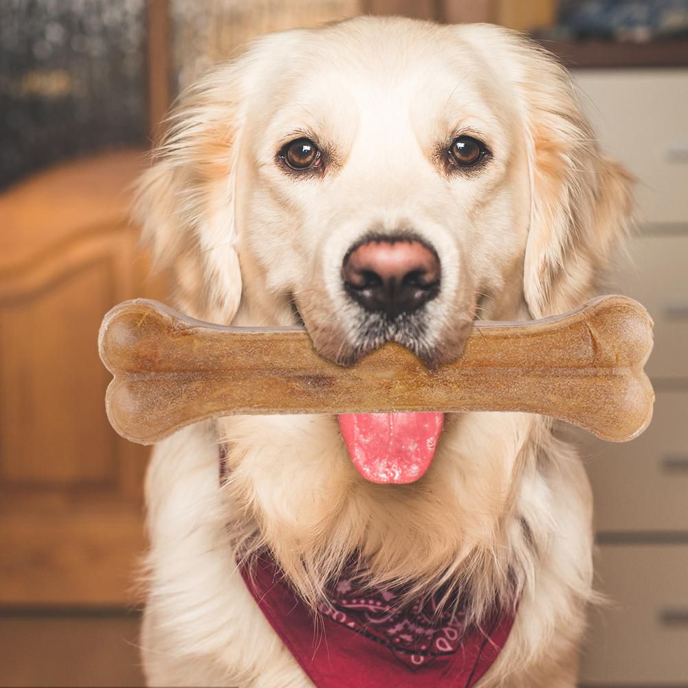 Online Dog Food, Treats And Toys